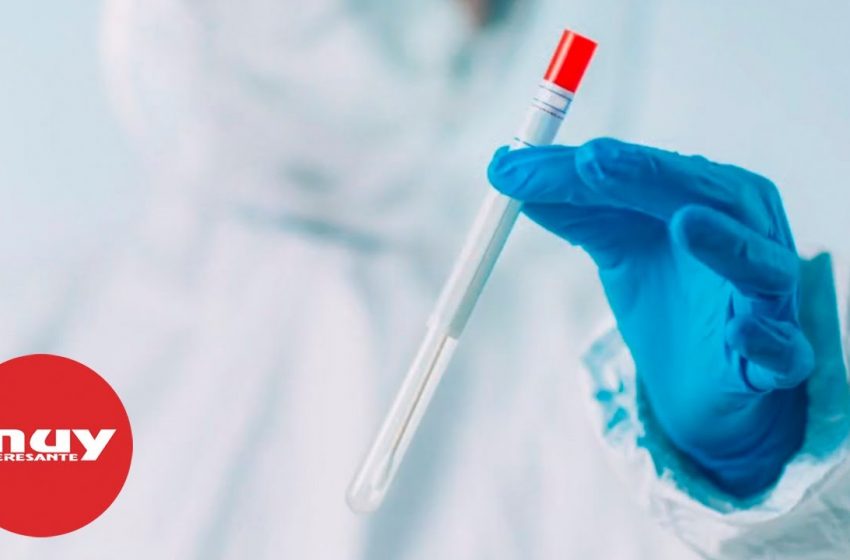  Todo lo que necesitas saber sobre los test rápidos de antígenos