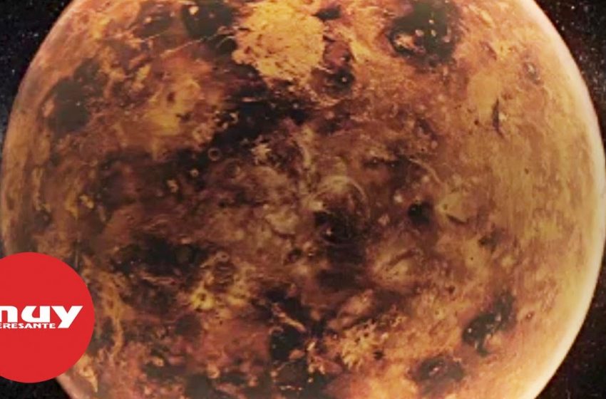  Hallan posibles indicios de vida en Venus