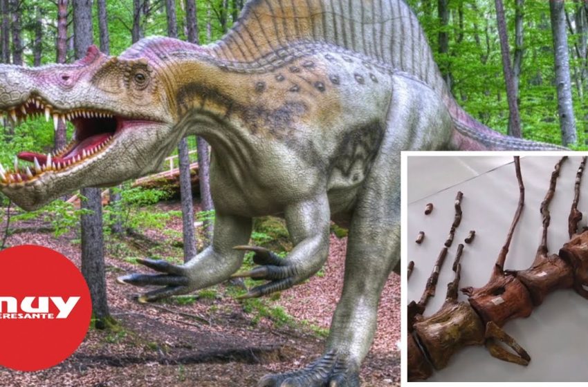  Descubren nuevas aptitudes del Spinosaurus