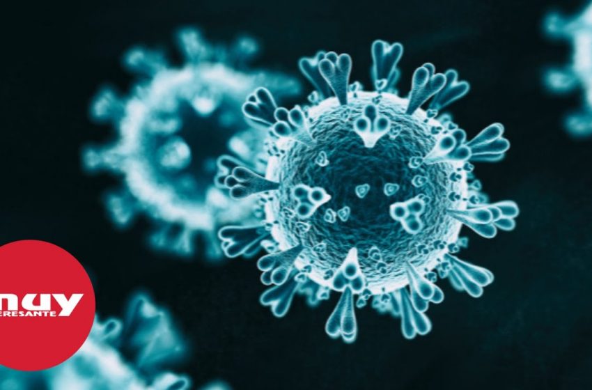  Coronavirus: manual básico de prevención