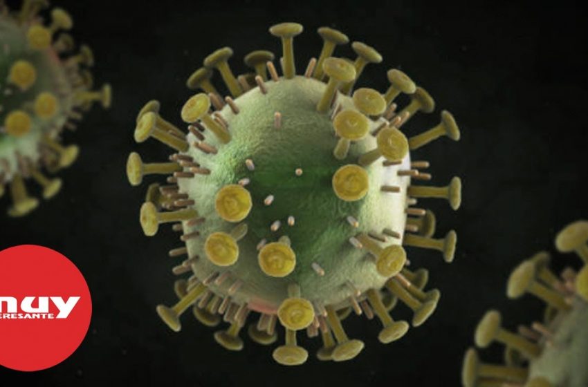  Científicos consiguen eliminar el VIH en el genoma de animales vivos