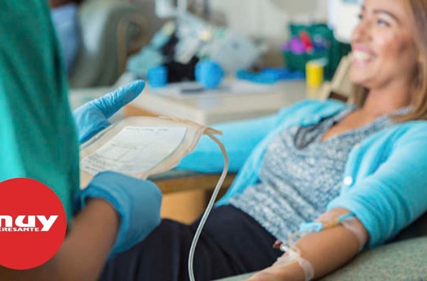  Datos y curiosidades sobre donar sangre