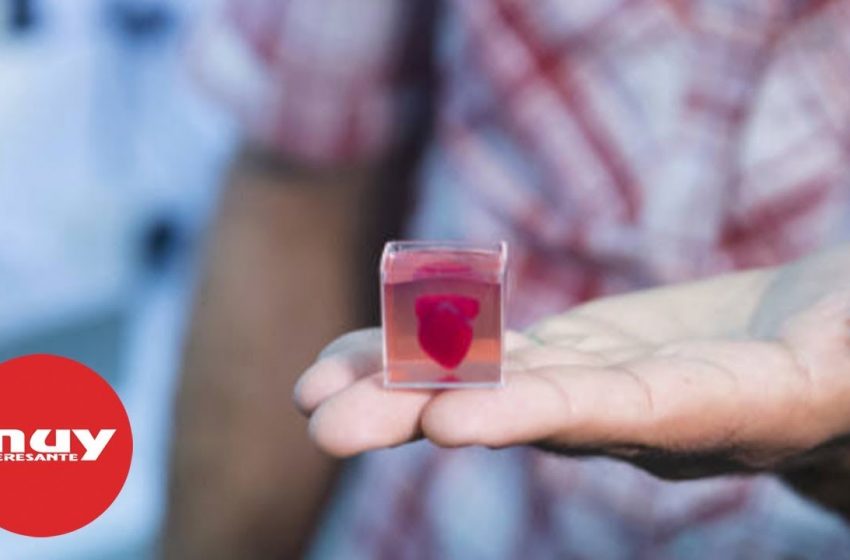  Científicos imprimen un corazón en 3D hecho de células humanas