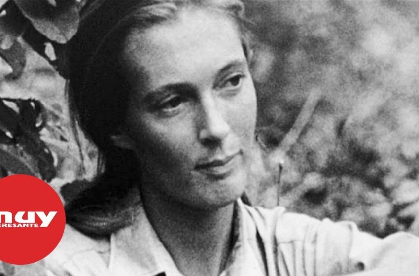  Curiosidades sobre Jane Goodall