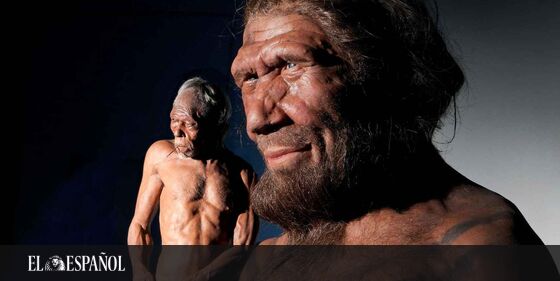  #LoMásLeído | Los neandertales oían y hablaban como nosotros: el hito español que cambia la historia …