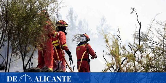  La precariedad de los bomberos forestales en la Comunidad Valenciana: 300 siguen con contrato de obra. Lo contamos en @a…