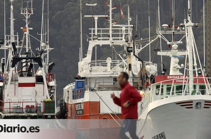  La flota gallega vuelve a la actividad de forma desigual: “Vamos a pérdidas, pero hay que buscarse la vida”
 Escribe @bm…
