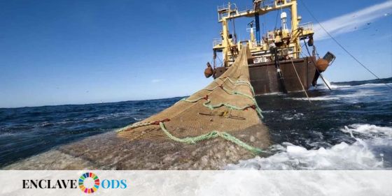  Los ‘parques de papel’ del Mediterráneo: la ley no protege a la fauna marina de la pesca de arrastre. Un artículo de @e…
