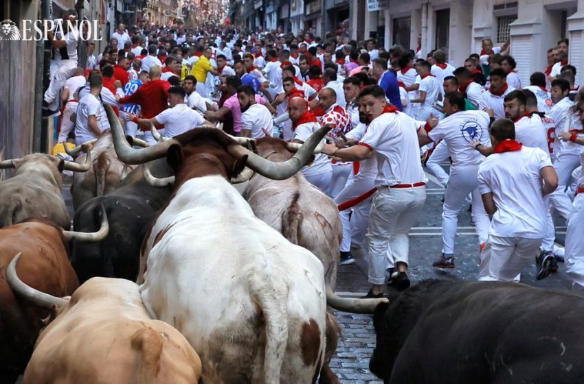  #SanFermin | Más de 1.000 días después los toros de Núñez del Cuvillo han corrido este 7 de julio de 2022 el primer enci…