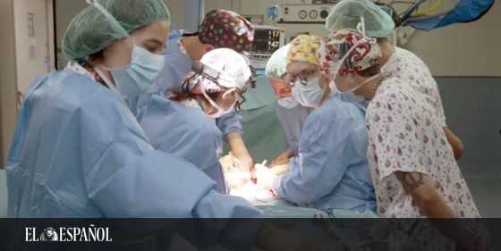  #LoMásLeído | Hito médico: España logra el primer trasplante de intestino en asistolia del mundo para una bebé
…