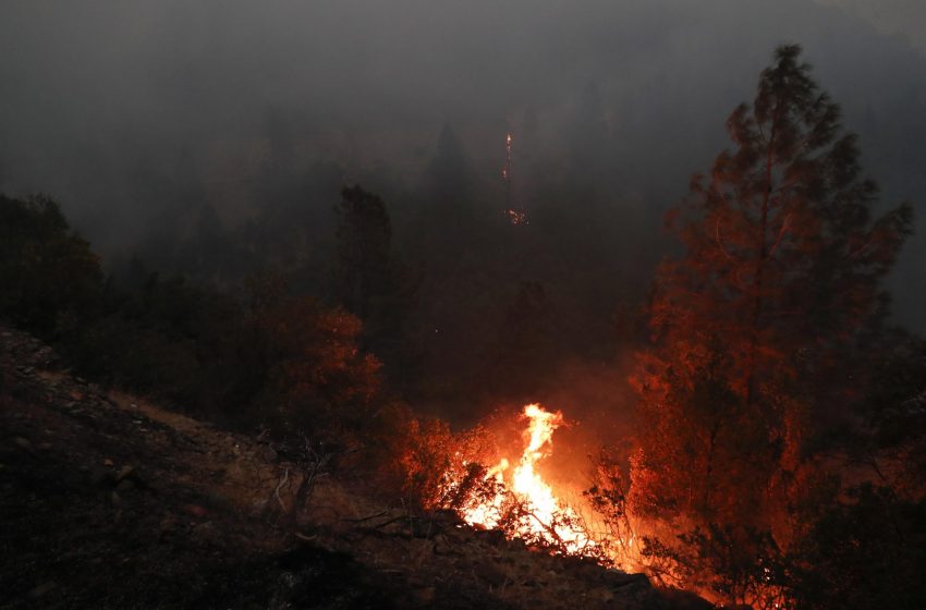  Los incendios forestales están azotando a Canadá, donde hay 413 fuegos activos.

En lo que va de 2023 se han producido 2…