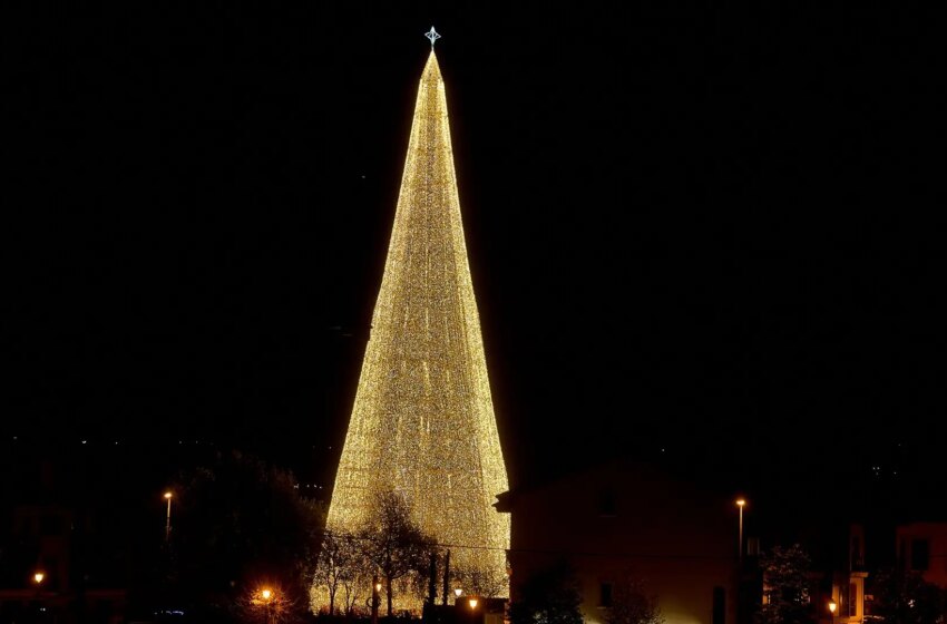  El horror de la disputa por quién tiene el árbol de Navidad más grande