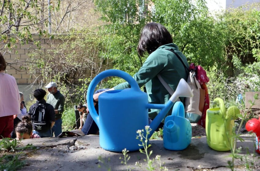  qué plantar en febrero de 2024