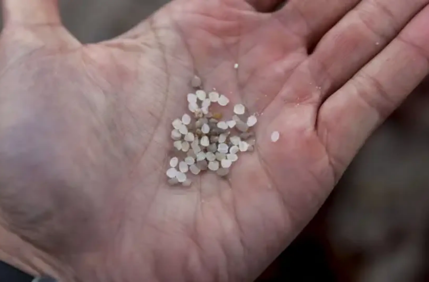  Cuántas toneladas de pellets de plástico se han vertido en las playas de Galicia