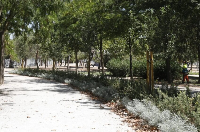  Un joven denuncia que fue violado por ocho hombres el día de Año Nuevo en un parque de Carabanchel