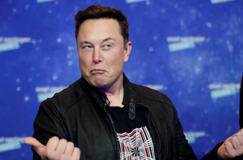  Elon Musk y el capricho de perder la marca que se convirtió en un verbo