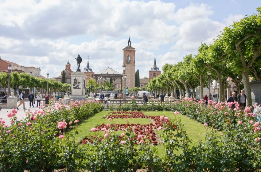  Miguel de Cervantes no nació en Alcalá de Henares, sino en Córdoba, según una investigación desarrollada en Sevilla