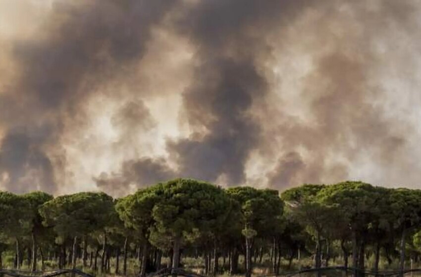  El juez continúa la instrucción contra los tres investigados por el incendio de Doñana de 2017