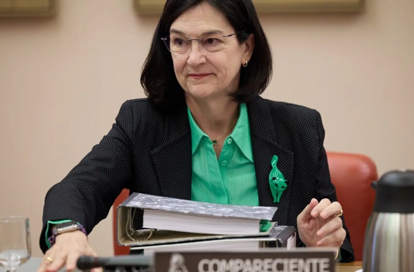 La retribución por invertir en redes se queda ‘corta’ y aboca a una batalla entre CNMC y grandes eléctricas