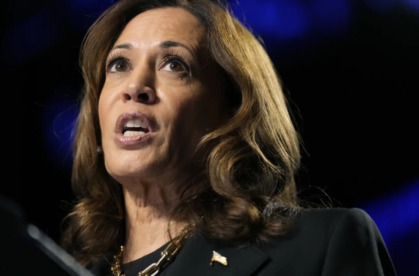  Harris corteja a los hombres afroamericanos con la promesa de legalizar la marihuana