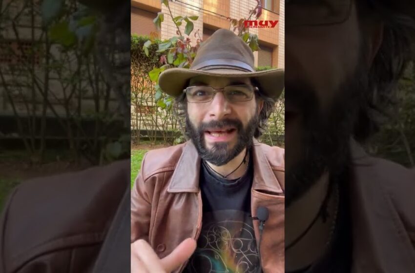  Estos hongos parecen arboles