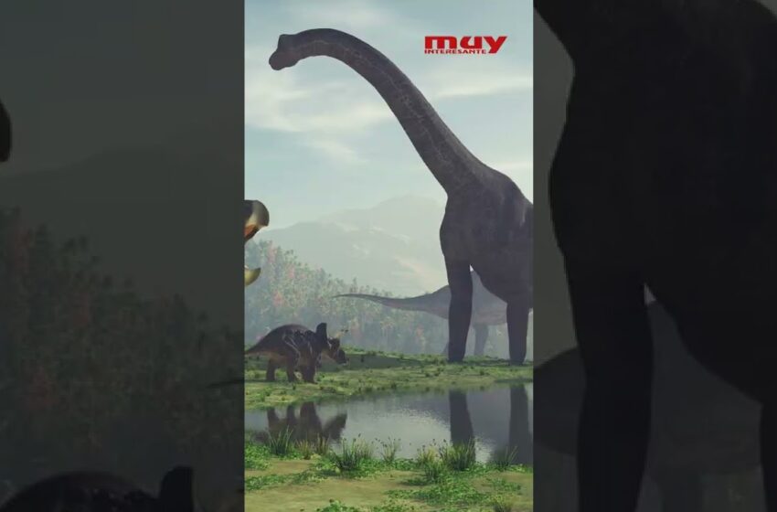  Los mamíferos dominaron la Tierra