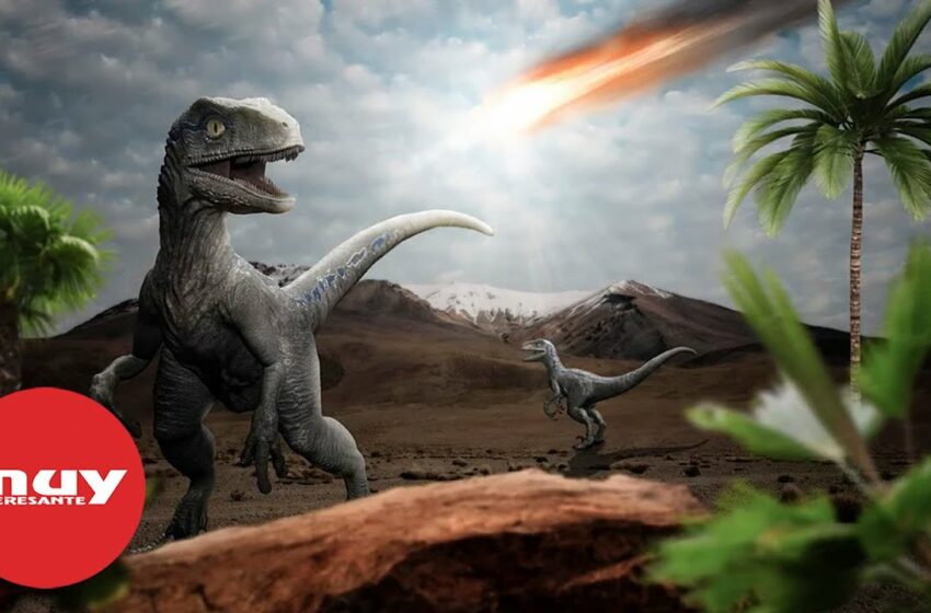  Encuentran un fósil de un dinosaurio que murió durante el impacto que causó su extinción