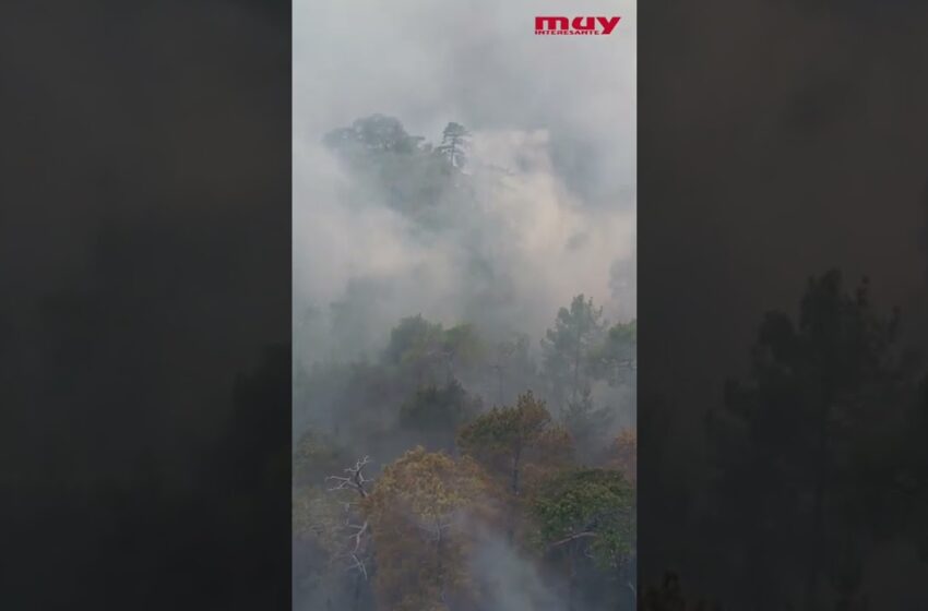  El carbono de los incendios está recalentando el planeta