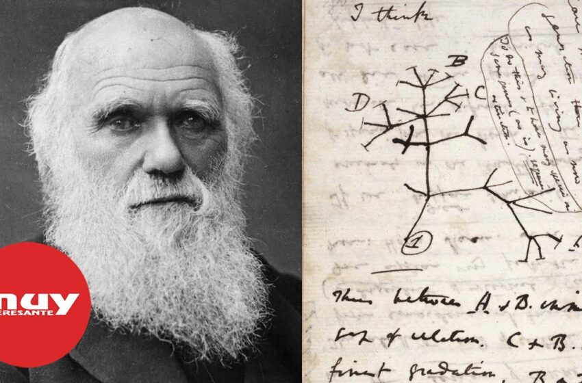  Los cuadernos perdidos de Darwin regresan misteriosamente después de 20 años