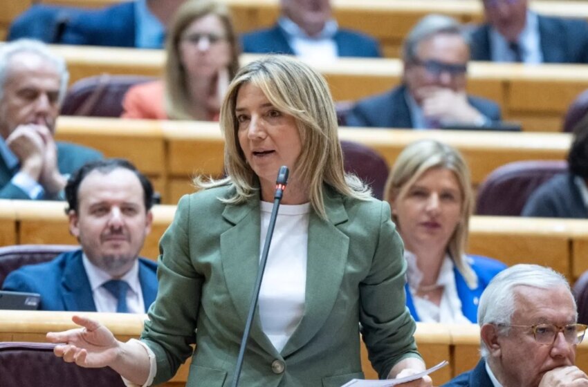 El Gobierno veta en el Senado las ayudas fiscales que proponía el PP por la DANA
