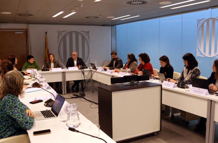 El Govern aspira a agilizar trámites y mejorar la coordinación en la «revisión profunda» del sistema de servicios sociales