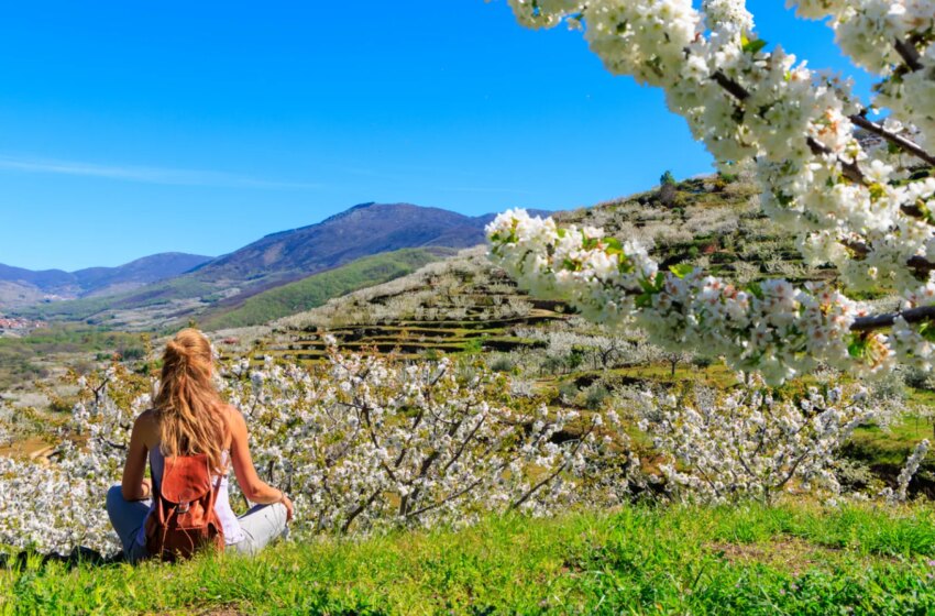  ¿Qué tiempo hará en primavera este 2025? Las primeras predicciones de los expertos para los meses de marzo, abril y mayo