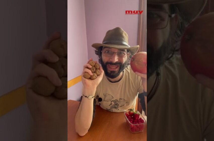  Estas frutas son muy extrañas (Botánicamente hablando)