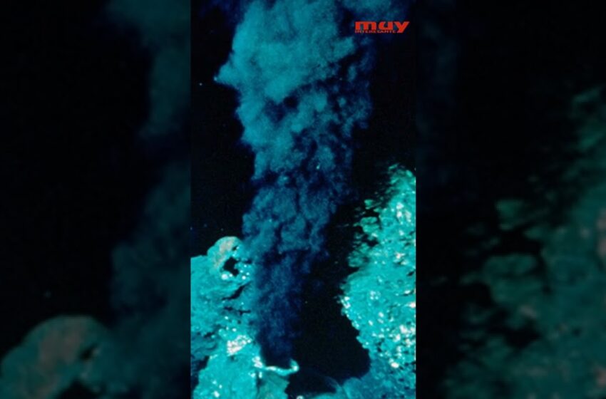  El suelo marino es hermoso pero peligroso