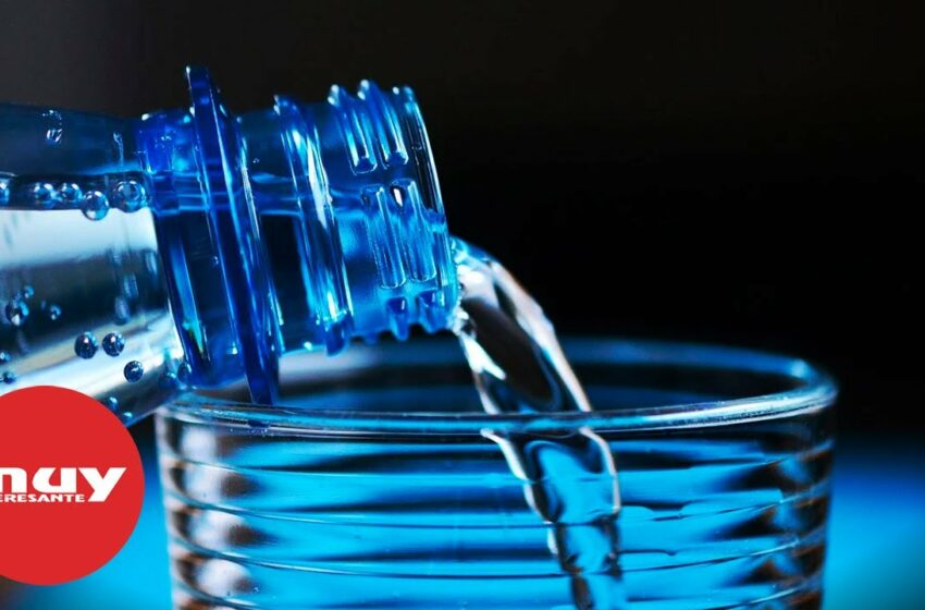  Detectan microplásticos en la sangre humana