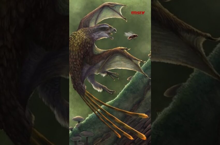  Estos DINOSAURIOS caben en tus manos