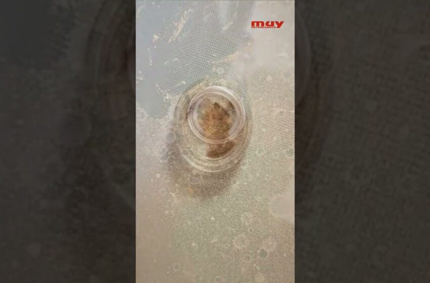  Así afecta la CALIMA  a la CALIDAD DEL AIRE