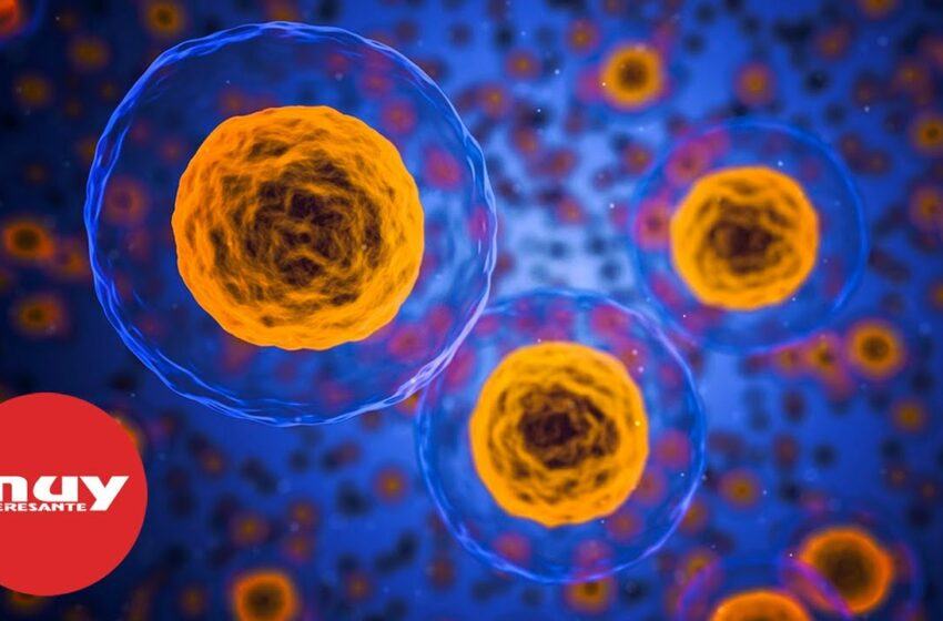  Ocho cosas que deberías saber sobre el cáncer