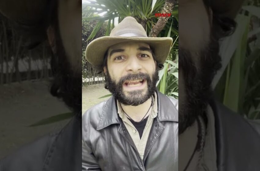  Top 5 INVASORES DE RIOS