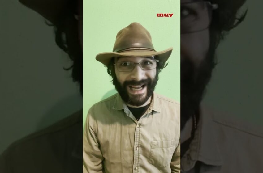  ¿POR QUÉ hay GAVIOTAS en Madrid?