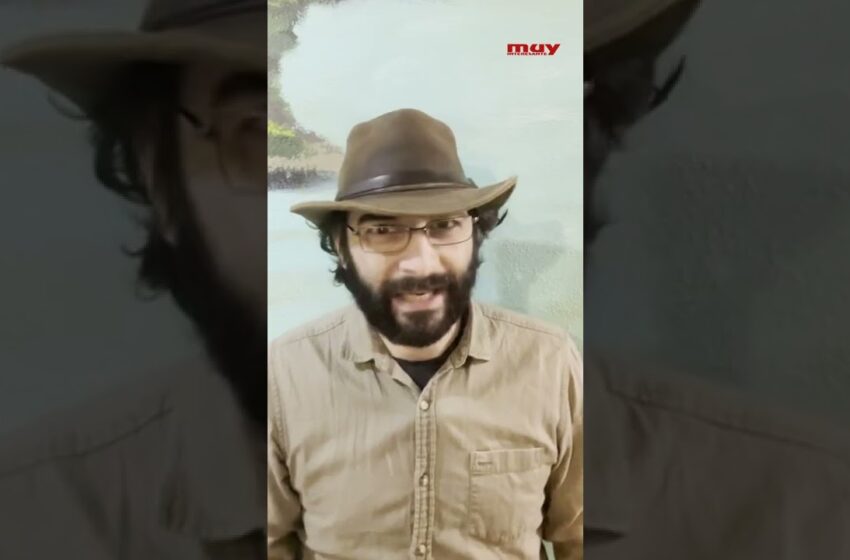  Estas CRIATURAS habitan el MAR MUERTO