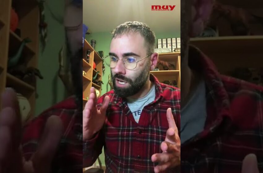  ¿Dinosaurios marinos? ¡MENTIRA!