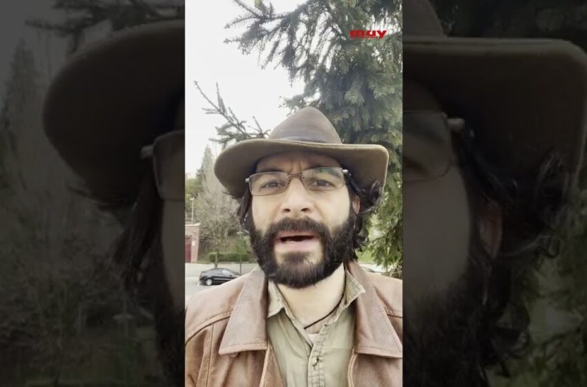  Madres VIRGENES ¿Es realmente posible?