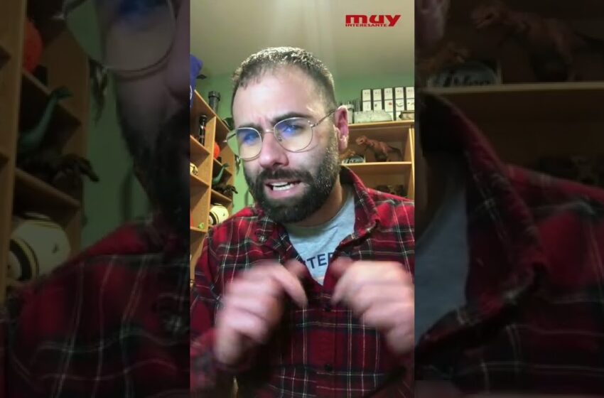  los TURIASAURUS Los dinosaurios GIGANTES