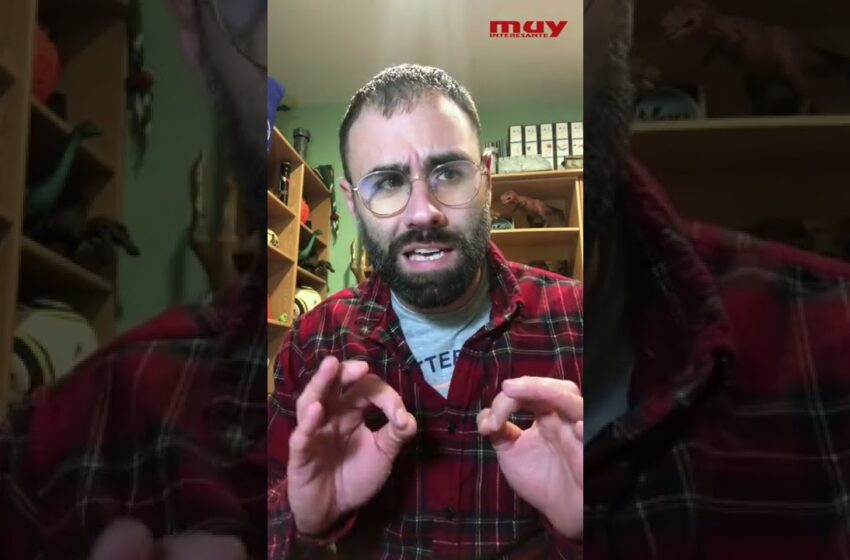  SCROTUM Así se iba a llamar el Megalosaurus