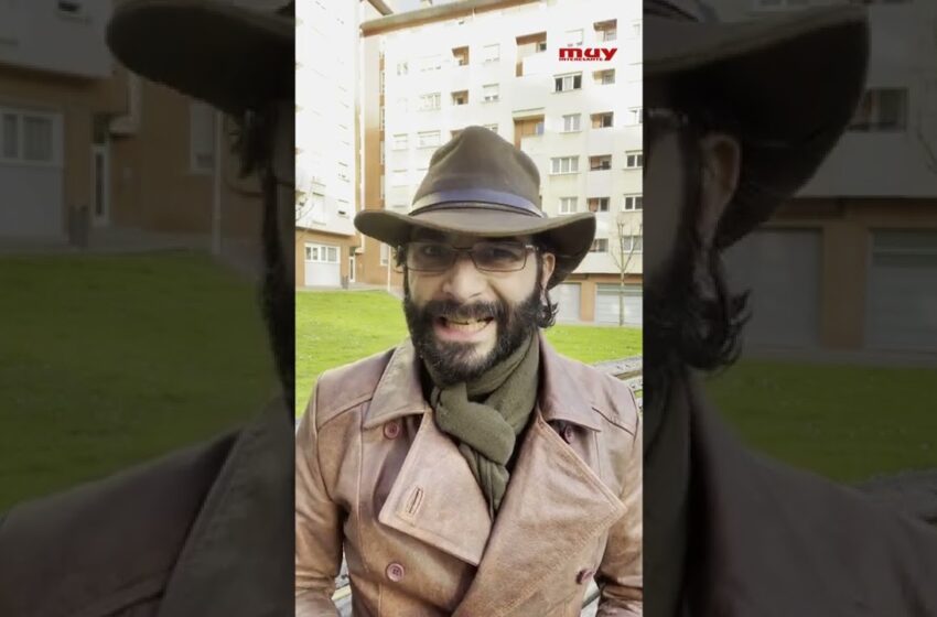  ¿Alguna SOLUCIÓN a la invasión de las COTORRAS?