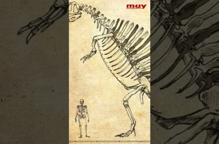  SPINOSAURUS: Esta es la realidad que no conoces