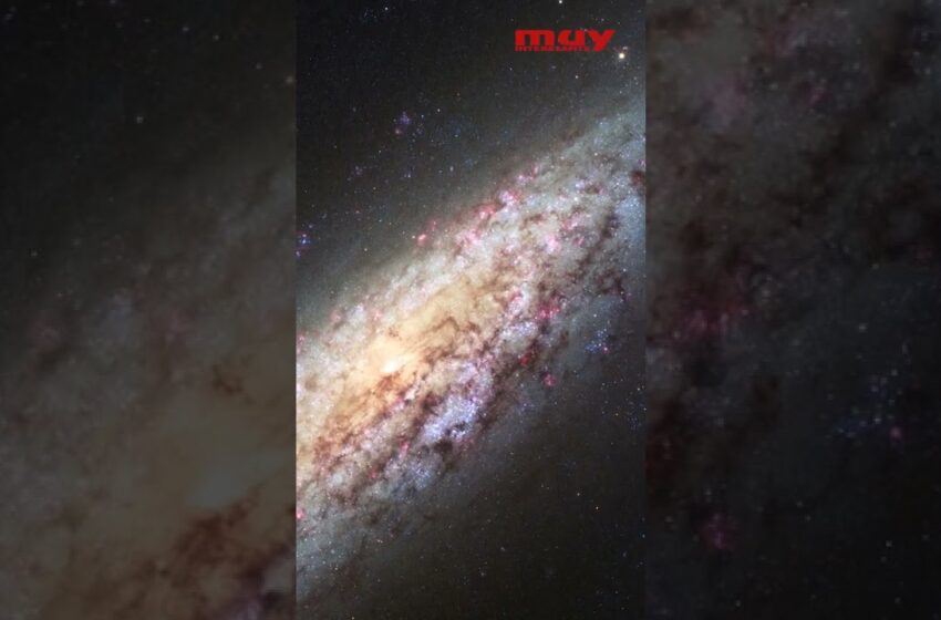  ¿Cómo será el futuro del universo?