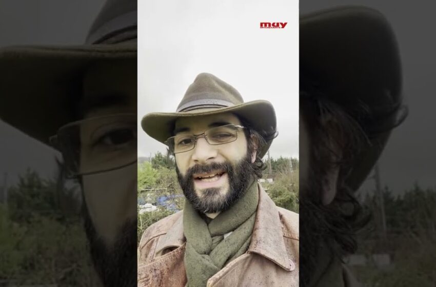  ¿CÓMO han evolucionado la gacela y el guepardo?