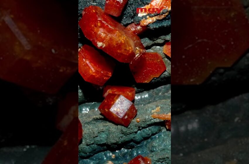  Esto es 💰💰EXACTAMENTE lo que vale tu cuerpo